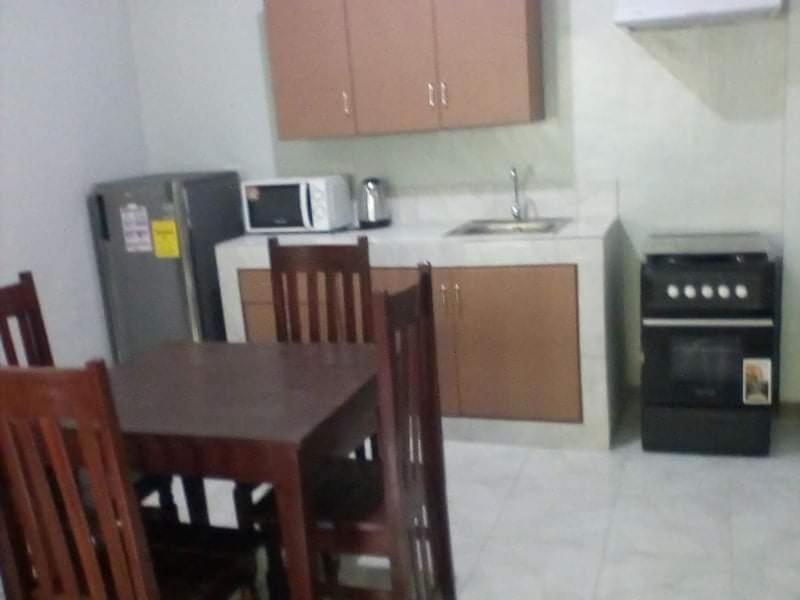 Palawan Casa Apartment Puerto Princesa Bagian luar foto